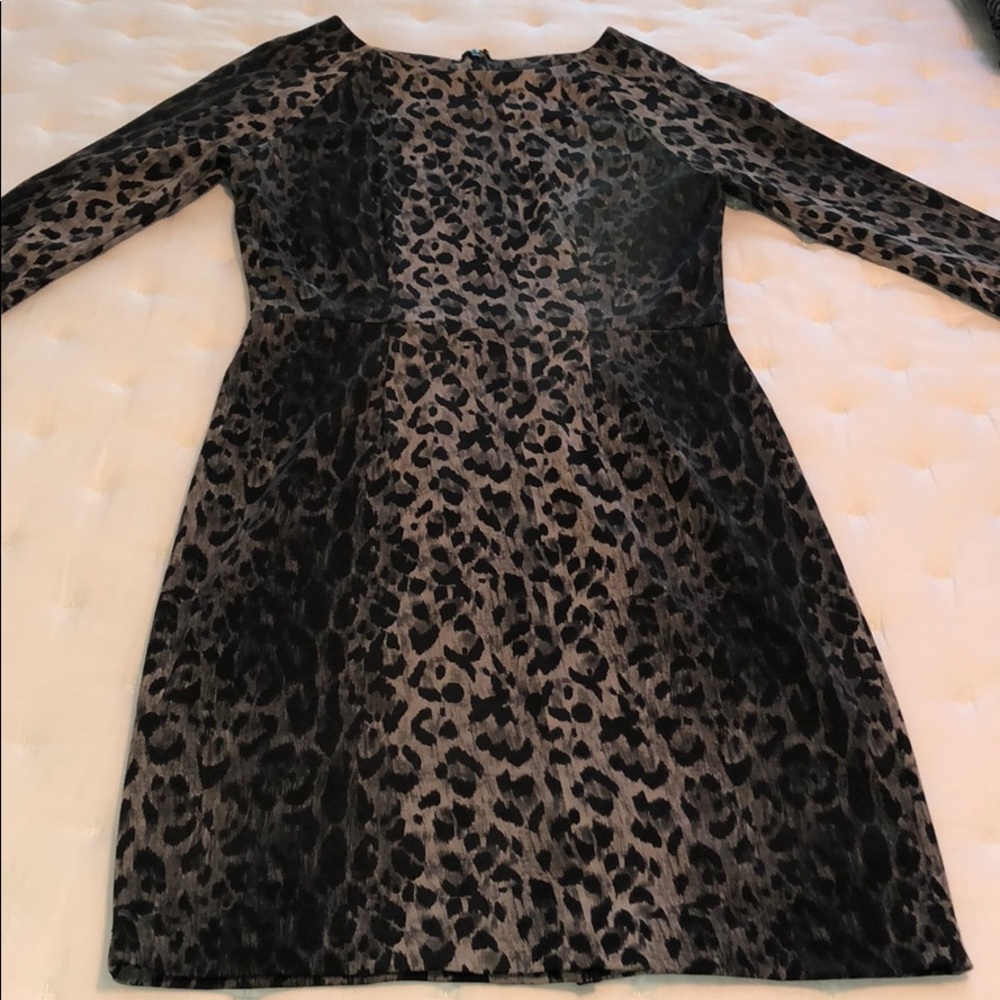 The Limited Leopard Sheath 6